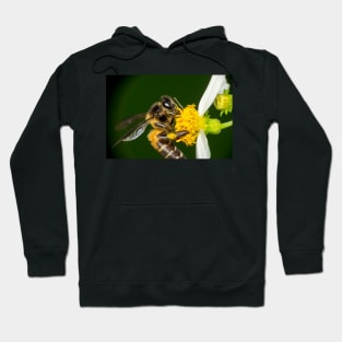 Unique and organic photo of a pollinated bee on a flower Hoodie